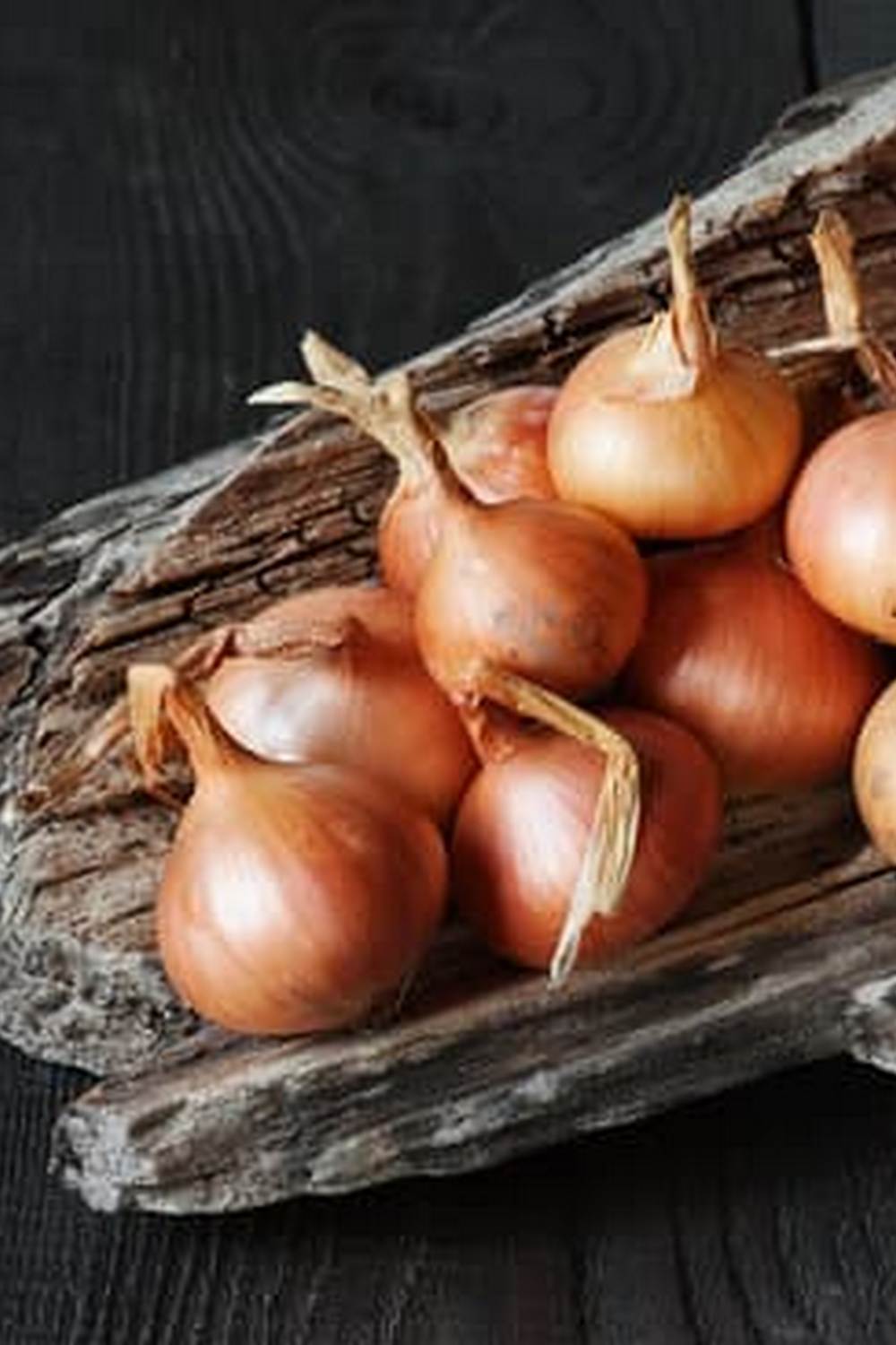 Can You Use Spectracide on Vegets Le Gardens 1 Using Spectracide on Vegetables in your Garden for Effective Pest Control