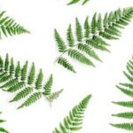 When to Start Gardening Vegetables When to Start Gardening Vegetables: A Seasonal Guide