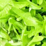 What Types of Vegetables Are Grown in Gardens in India Variety of vegetables grown in Indian gardens: potatoes, tomatoes, spinach, okra, and eggplant