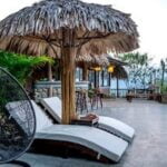 Gardeners World Raised Vegetable Beds Explore Gardeners World Raised Vegetable Beds, perfect for growing an abundance of fresh, organic produce in your own backyard