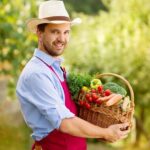 Ultimate Guide to Vegetable Gardening in Virginia: Tips, Best Plants, and Climate Considerations