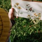 Greenhouse gardening: growing winter vegetables indoors for fresh, homegrown produce all season long