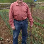 Can Treated Pine Be Used for Vegetable Gardens Opt for 'Can Treated Pine Be Used for Vegetable Gardens' to describe the image of treated pine in a vegetable garden