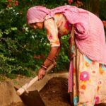 Vegetable Gardening Tips Essential Vegetable Gardening Tips: 10 Expert Strategies for a Bountiful Harvest