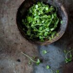 Organic gardening tips for growing and caring for natural vegetables in your garden