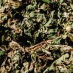 Rich and organic peat moss for vegetable gardens. Improve soil structure and moisture retention