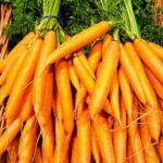 Vibrant Philippine backyard vegetable garden bursting with fresh produce and colorful blooms