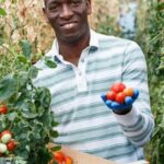 Potential health risks: Is vermiculite safe for vegetable gardens