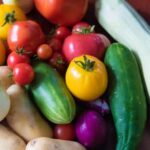 Rocky Mountain Vegetable Gardening Guide: Essential tips for thriving in high-altitude gardening