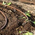 Can I Get a Good Harvest From Container Vegetable Gardening Potential for Abundant Harvest: Container Vegetable Gardening