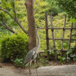 Thriving vegetable garden in drought conditions, utilizing water-saving techniques for successful results