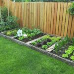 Cypress Mulch: Ideal for Vegetable Gardens