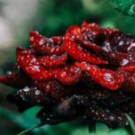 Creative vegetable gardening without soil methods for urban growers and small spaces