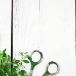 Container Gardening: Growing Fresh Vegetables and Herbs in Small Spaces