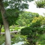 Can You Use Reclaimed Water in Vegetable Gardens Yes, you can use reclaimed water in vegetable gardens, promoting sustainability and conservation efforts