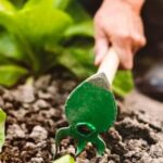 Learn essential patio vegetable gardening tips for small spaces and containers