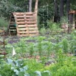 How to build raised vegetable gardens: Step-by-step guide for creating a thriving garden oasis