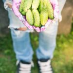 Vegetable Gardens and Shade Thriving vegetable gardens in dappled shade