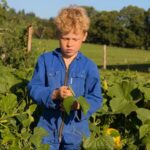 Effective Crabgrass Killer for Healthy Vegetable Gardens