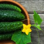 Central Valley Vegetable Gardening: Lush and Bountiful Harvests amidst California's Rich Agricultural Heritage