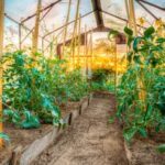 Best Deer Deterrent for Vegetable Gardens: Natural Repellents and Fencing Options