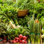 Lush Mississippi Vegetable Gardens with fertile soil, abundant sunlight, and diverse crops