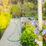 Beautiful Wisconsin vegetable gardening showcasing local produce, thriving crops, and sustainable practices