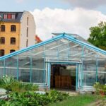 Indoor Gardening Kits Vegetables: Grow Fresh Veggies Anywhere