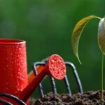 Off Insect Repellent Vegetable Gardens Off Insect Repellent for Vegetable Gardens: Keep Pests Away Naturally with this Garden Essential