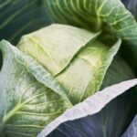 Colorful Fall Harvest in Western Washington Vegetable Gardening