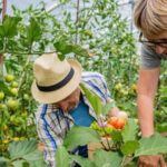 Best vegetable choices for Gardening Zones in Canada - Tips for successful planting and growing