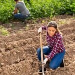 Georgia Fruit and Vegetable Gardening Book: A comprehensive guide for growing produce in Georgia's climate