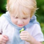 Year-Round Vegetable Gardening Tips in Louisiana