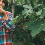 Optimal soil mix for thriving container vegetable gardens: Best Soil Mix for Outdoor Container Vegetable Gardening