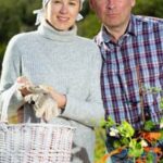 Colorful blend of ARCTIC GARDENS MIXED VEGETABLES, including corn, carrots, and peas