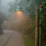 Vegetable gardening starter kit: Essential tools, seeds, and instructions for beginners