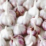 Step-by-step vegetable container gardening plans for urban spaces