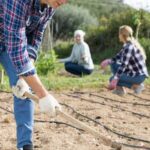 Effective Methods for Squirrel Control in Vegetable Gardens: Tips for Protecting Your Crops