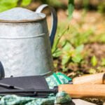 Expert tips for successful vegetable gardening - maximize your yield with these helpful tricks