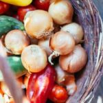 Beautiful, bountiful French Intensive Vegetable Garden - abundant harvest with sustainable methods