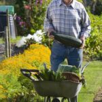 Explore Southwest Vegetable Gardening Books - Essential Guides for Your Desert Garden Success