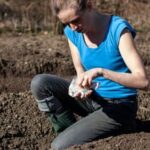 Beautiful Newfoundland vegetable garden with stunning coastal views and diverse organic produce
