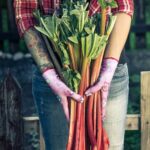 Beginner Gardening Vegetables: Easy-to-grow vegetables for beginners in their first garden