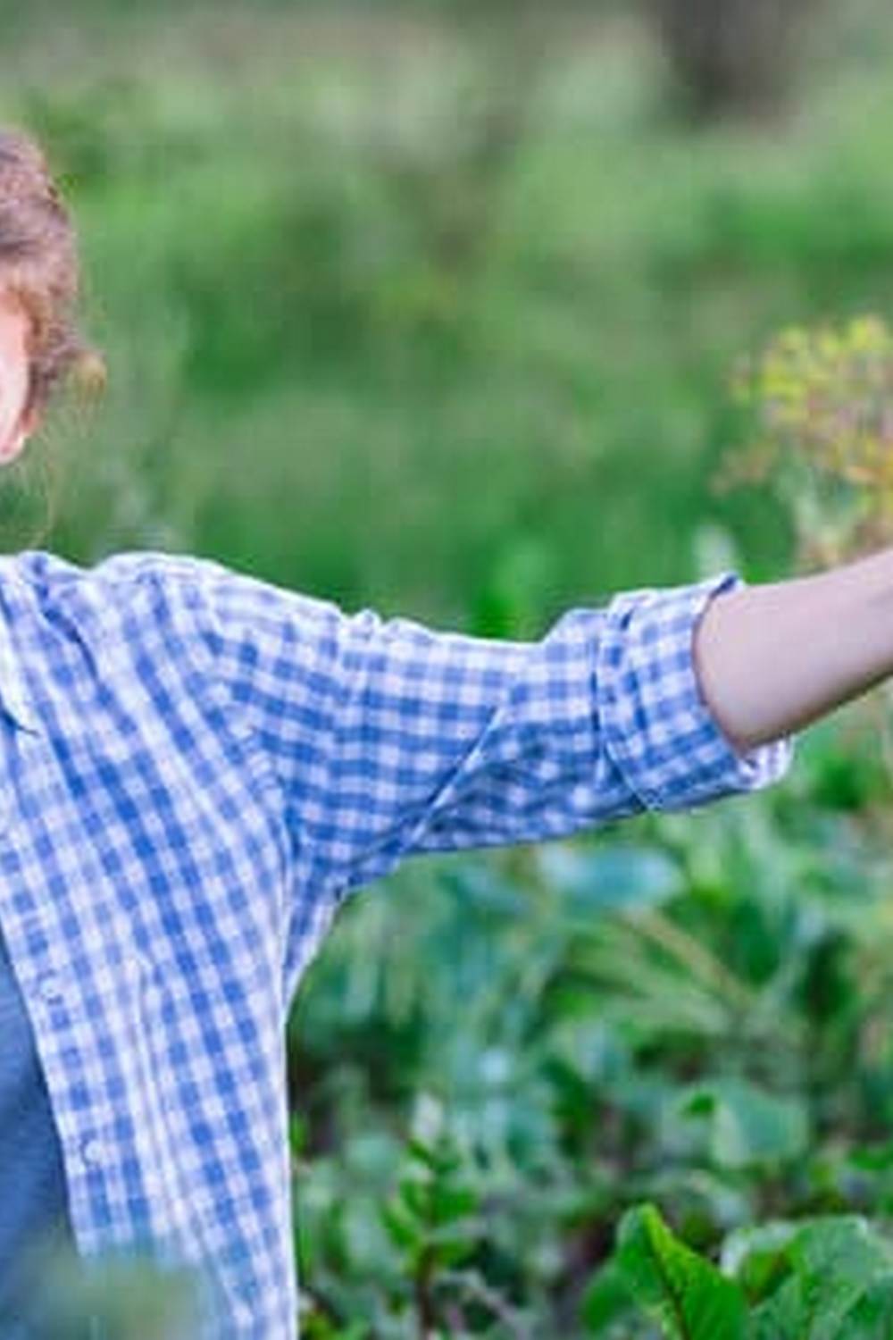 Enhance vegetable garden with marigolds for pest control, soil improvement, and vibrant blooms