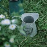 Best Vegetable Gardening Method Reddit Best Vegetable Gardening Method Reddit: Expert tips for successful, sustainable gardening practices for beginners