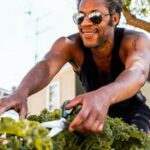 Effective and safe ant killer for vegetable gardens: Eco-friendly solution to eliminate garden pests