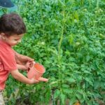 Raised Bed Vegetable Gardening for Beginners Uk Raised Bed Vegetable Gardening for Beginners: Essential Tips for UK Gardening Enthusiasts