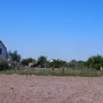 Community Vegetable Gardens South Africa Thriving community vegetable gardens in South Africa, promoting local food security and sustainable agriculture