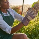 Growing vegetables in Phoenix, Arizona's garden paradise: how to thrive in the desert climate