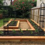 Thriving Vegetable Garden in Ohio: Practical tips on successful vegetable gardening in the Ohio climate